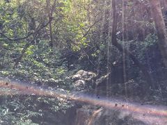 -火炉山森林公园