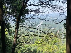 -火炉山森林公园