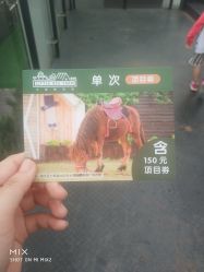 -小蜜蜂农场(凯德七宝购物广场店)