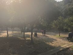 -石峰公园
