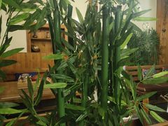 景观位-丽江庭院之丽江往事(安定门店)