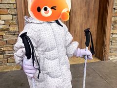 -哈尔滨热雪奇迹