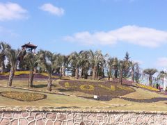 -南通洲际绿博园