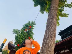-大雁塔北广场音乐喷泉