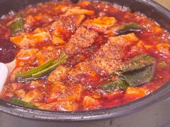 -陈麻婆豆腐总店