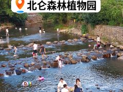 -北仑森林植物园