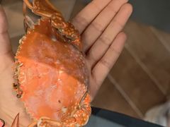 -半岛听涛蒸汽海鲜自助(K11店)