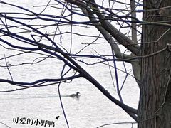 -苏州太湖国家湿地公园
