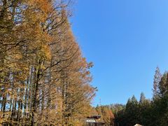 -山王坪喀斯特国家生态公园