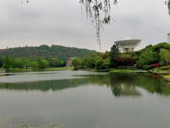 -上海佘山世茂艾美酒店
