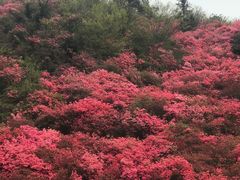 -木兰云雾山