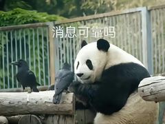 -南宁市动物园