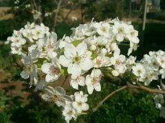 -河南食府(人民路店)