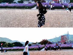 -玫瑰海岸文化旅游度假区