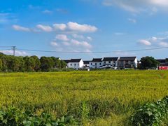 -蟹村草堂·苏式园林人文农家·大闸蟹