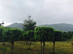-亚龙湾国际玫瑰谷
