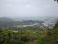 -清溪大王山森林公园