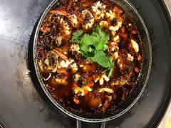 -重庆乌鱼庄·龙滋鲜(青羊大道店)