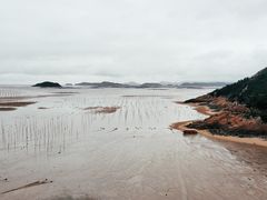 -北岐滩涂