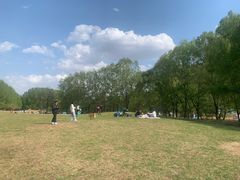 -长白岛森林公园