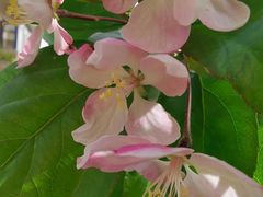 -功夫汤粤港餐厅(锦业路店)