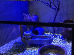 -沅江水·湖南家宴(南村万博长隆商圈店)