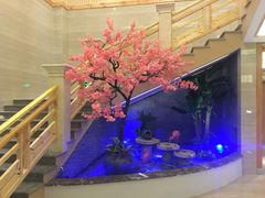 -纽斯洗浴SPA(三墩店)