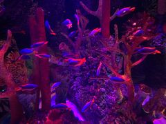 -沈阳海洋探索中心