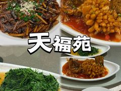 -天福苑(崇宁路店)