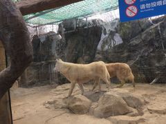 -杭州海底世界