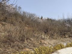 -青龙湖公园