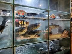 水产区-蛙鱼道美蛙鱼自助火锅(新耍都店)