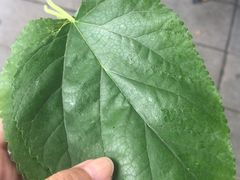 -管氏翅吧(地安门创始店)