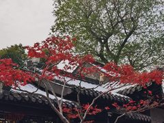 -个园