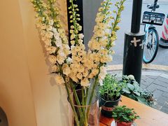 -Joymean coffee.见面咖啡