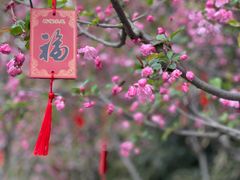 -个园