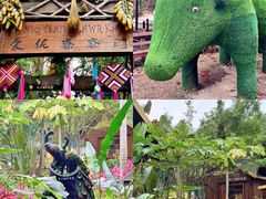 -西双版纳原始森林公园