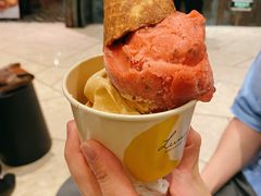 树莓雪葩-LUNEURS月乐诗 冰淇淋咖啡(环贸店)