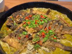 -老板恋上鱼(恒隆广场店)