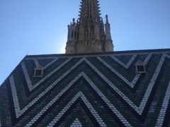-斯蒂芬主教座堂(Stephansdom)