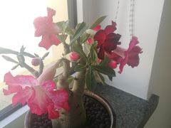 -聚德福海鲜家常菜(刘庄店)