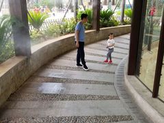 -灵玲国际马戏城