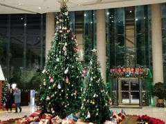 -成都世纪城假日酒店-西楼