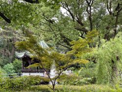 -丁香花园申粤轩·宴会厅