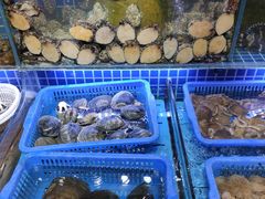 水产区-必点海鲜·鲅鱼水饺(鞍山西道店)