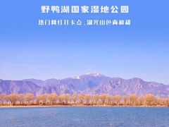 -野鸭湖国家湿地公园