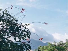 -广州都喜泰丽温泉度假酒店