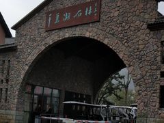 -千岛湖石林