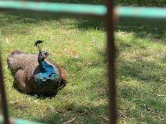 -昆明动物园