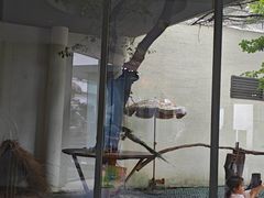 -芳草地度假酒店·野炉中餐厅